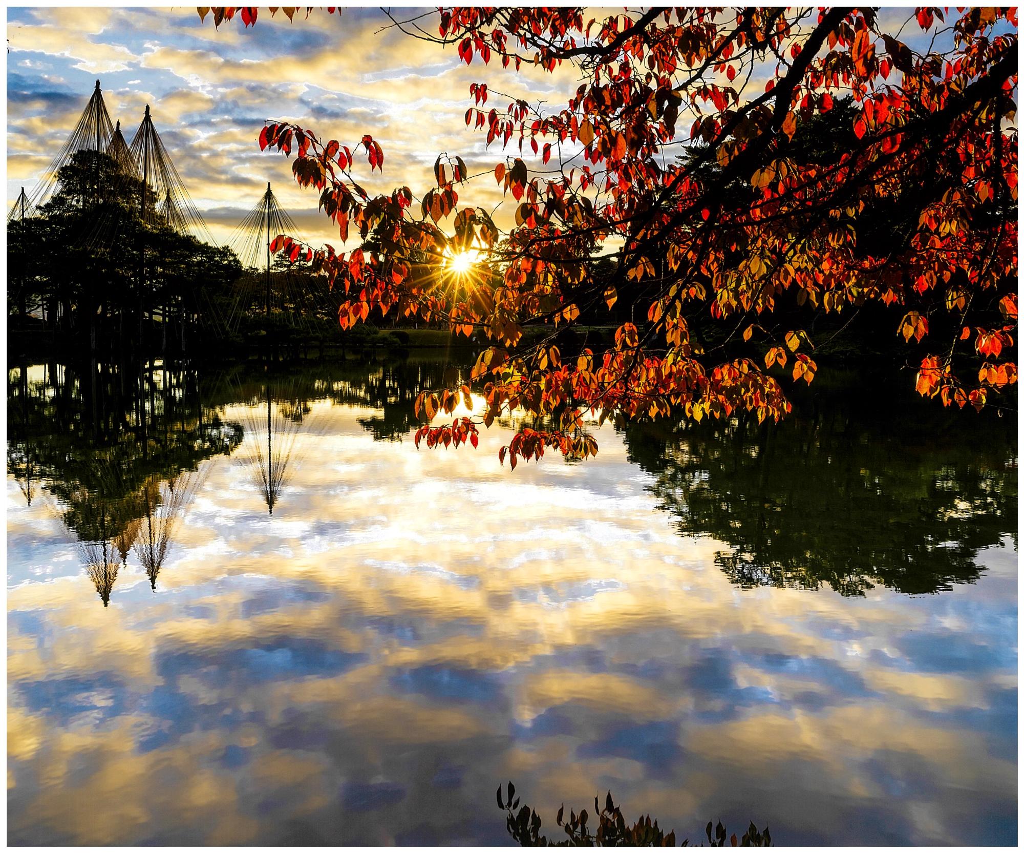 グランプリ 奇跡の日の出