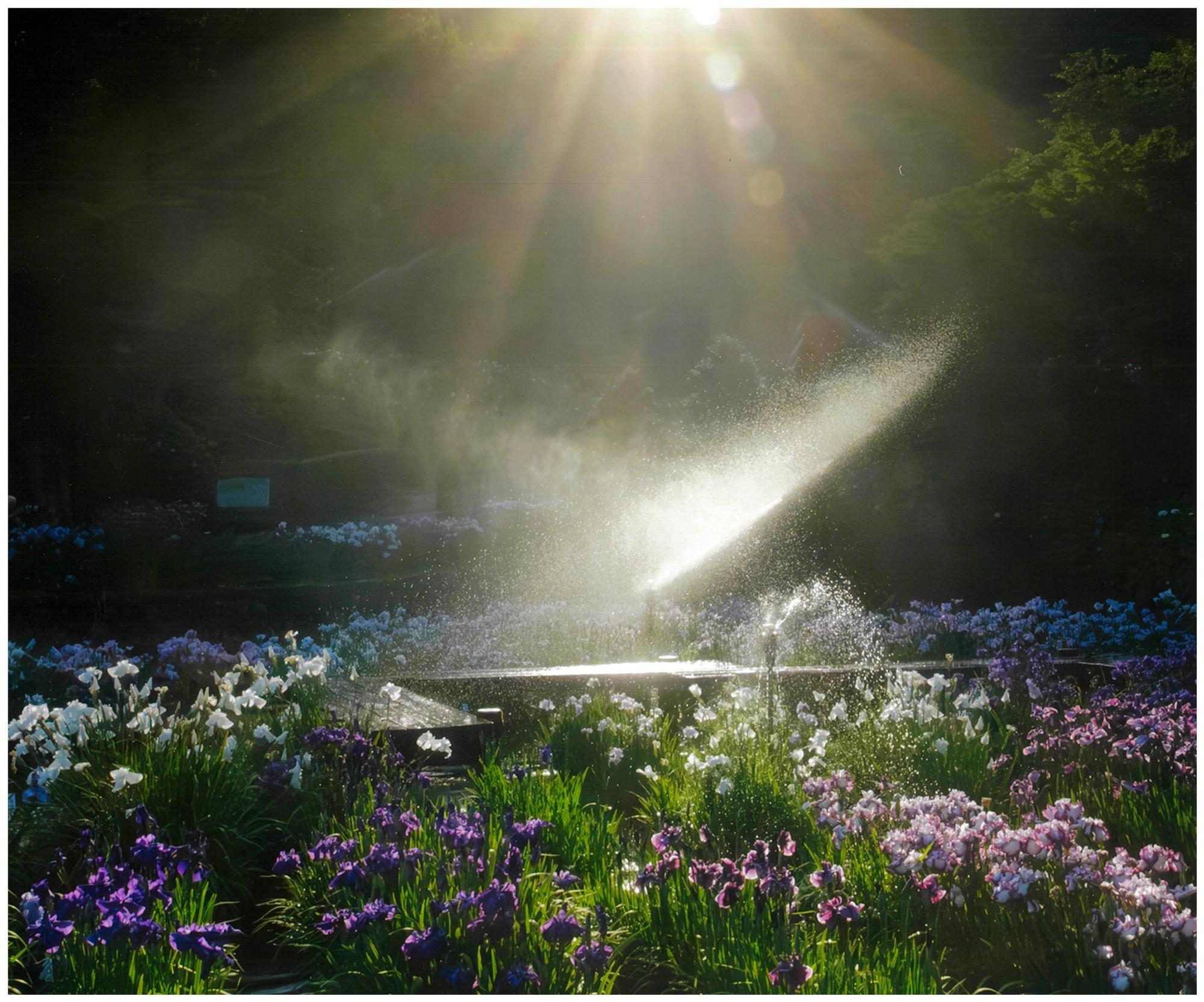 公園賞 光と水の競演