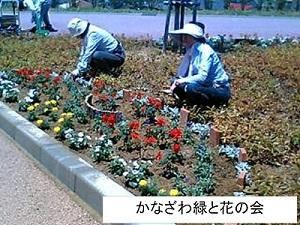 女性2名で花壇の花の手入れをしている写真