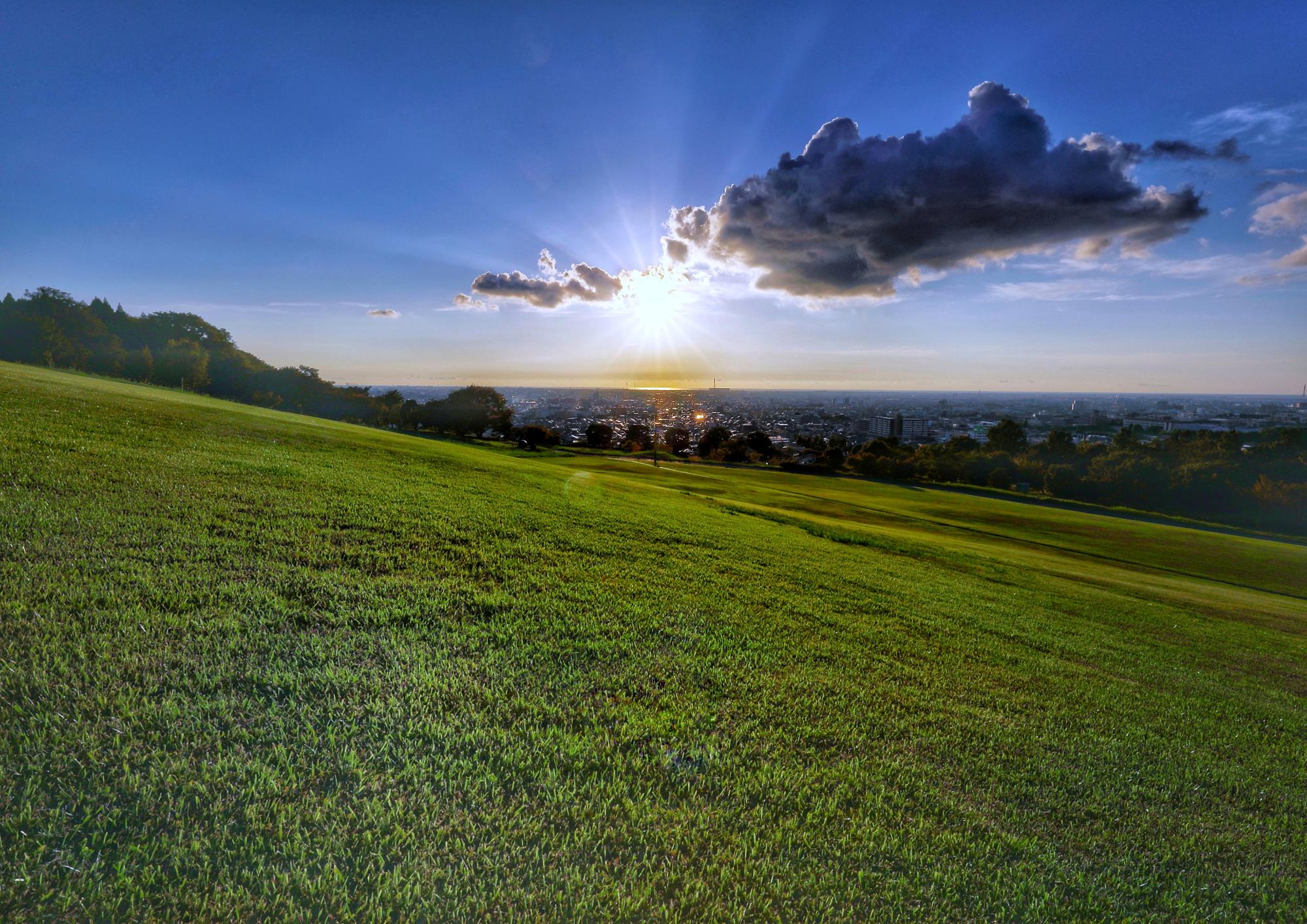 写真コンテスト