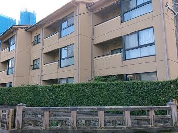 手前に用水と緑の葉で出来た目隠し、奥に茶色の3階建ての建物が建っている芳斉住宅の外観写真