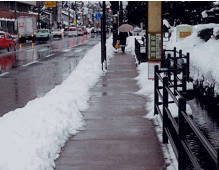 歩道の左右に雪が山積みになっていて、その間を傘をさした女性が歩いている後ろ姿の写真