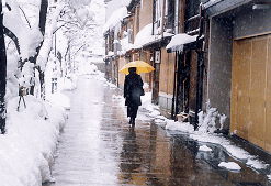 雪の降る中、雪のとけた歩道を、傘をさし歩いている人、歩道以外は木々や道路に真っ白な雪が降り積もっている雪景色が美しい主計町の写真