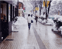 歩道の左側に、雪が山積みになっていて、傘をさした通行人が歩いている写真