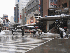 傘をさした男女が、スクランブル交差点を渡っている写真