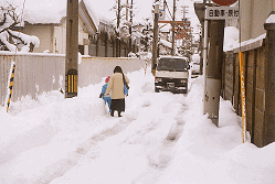 道路に沢山の雪がふりつもり、除雪によって道の両側に雪が積まれ、道幅が狭くなり、道の端を歩く親子と対面から向かってくる大型の車で避ける場所がない状況の様子の写真