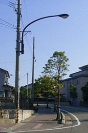 道路脇の電柱に黒く長い道路照明灯が取り付けられている写真