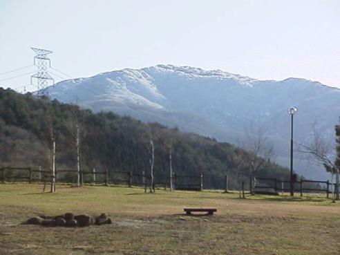 平成16年1月4日に撮影された山頂に積雪が残り樹木に冠雪が残っている様子の奥医王山の写真