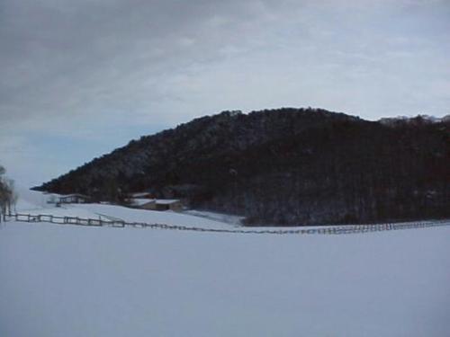 平成16年1月17日撮影されたわずか30センチメートルの雪が地面に積もっているキゴ山の写真
