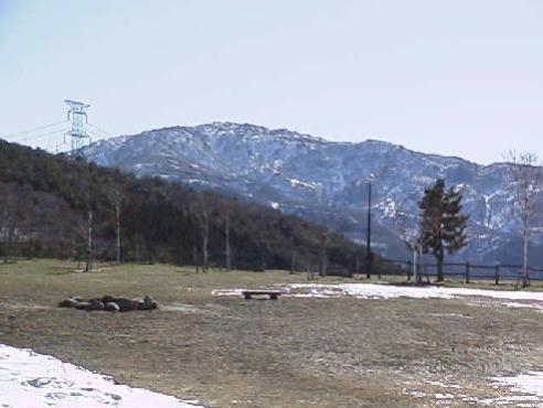 平成16年3月19日に撮影された山頂に約250センチメートルの積雪が残っている様子の奥医王山の写真