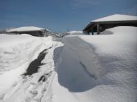 施設の屋根や道路がすっかり積雪で覆われている様子を3月中旬に撮影した写真