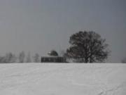 かなり積雪している施設や大きな木が立っているキゴ山周辺の写真