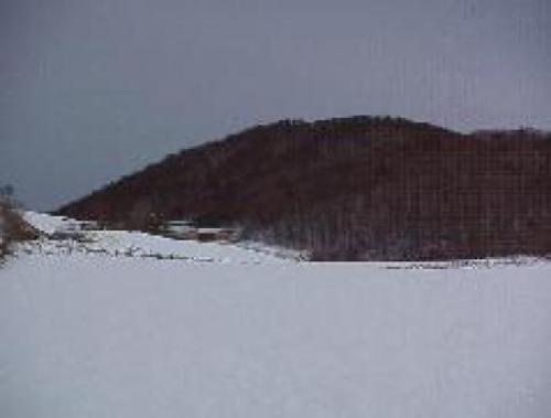 平成16年2月24日撮影された90センチメートルの雪が地面に積もっているキゴ山の写真