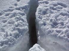 雪道でホンドギツネが掘った深さ2メートルの穴の写真