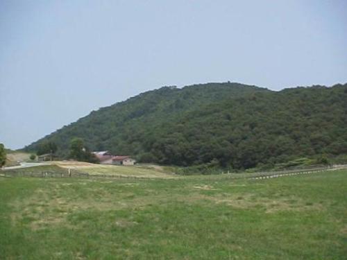 平成15年7月8日に撮影された牧草も再び青々してきたキゴ山の写真