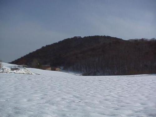 平成16年2月1日に撮影された100センチメートルの雪が地面に積もっているキゴ山の写真