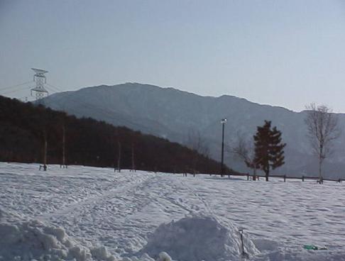 平成16年2月1日に撮影された地面にに約300センチメートルの積雪が残っており少し高さのある真っ白な様子の奥医王山の写真