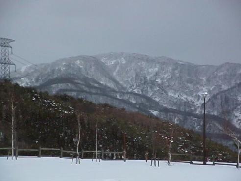 平成15年3月12日に撮影された少しかすんだ残雪の残る山頂と地面が雪に覆われている様子の奥医王山の写真