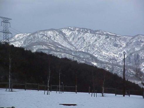 平成15年3月20日に撮影された山頂部分や地面に残雪がある様子の奥医王山の写真