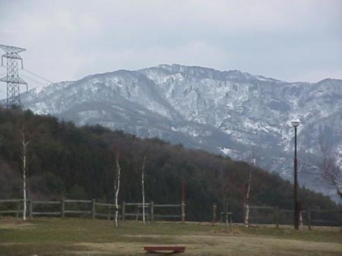 平成15年3月28日に撮影された少しかすんで映る山頂部分に残雪が残っている様子の奥医王山の写真