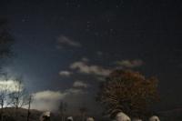 夜空に昇るアベマキの木の上にはオリオン座が、雲の切れ間からシリウス座が見えている様子の写真